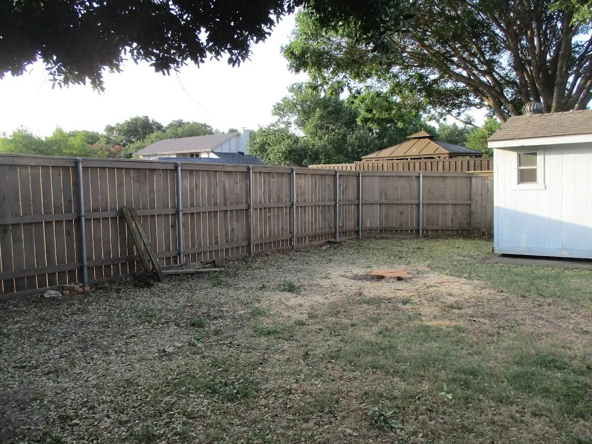 Cleared yard after professional tree removal in South Fallsburg